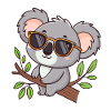 Koala chic glasses on temple
