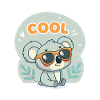 Koala Cool with orange glasses