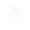 Eagle Head – Minimal Line Art Design
