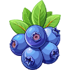 Myrtilles