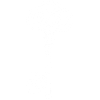 White Celtic Key