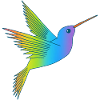 Rainbow bird