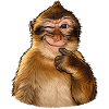 Singe drôle et ironique