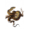Königspython Mom Mama Schlangen Terrarium Python