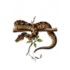 Königspython Mom Mama Schlangen Terrarium Python