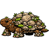 Earth tortoise – animal from nature