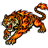 Fire Tiger – Animal of Flames