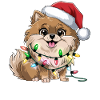 Weihnachtshund mit Lichterkette
