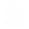 Bigfoot Windsurfing Moon