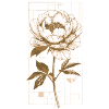 Golden Blossom Peony Print