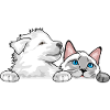 Peeking_Swiss_Shepherd_puppy_and_Siamese_cat
