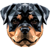 Rottweiler Dogs Love Proud Rottweiler Lovers