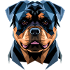 I cani Rottweiler amano gli orgogliosi amanti del Rottweiler