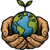 Earth in hands with seedling