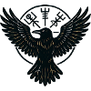 Mystic Raven Circle
