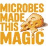 Microbes have done magic | Cheese