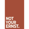 Not Your Ernst – Terracotta Minimal Art
