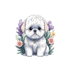 Funny Dog Bichon Pajamas