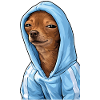 Hoodie Dog – Chill Mood Meme