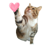 Missty check a heart