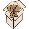 Cuddly dog in a box