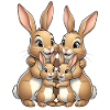 Rabbit Family Happiness