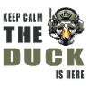 Stay calm, the duck is here