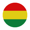 Bolivia round flag