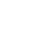Traditioneller asiatischer Drache einfarbig 