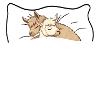 Lama Sleepshirt black