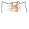 Hasi Schlafshirt schwarz