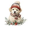 Winter Paw Dog with Hat