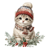Winter kitten with hat and scarf