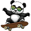 Panda Skateboarder Bear
