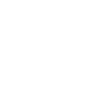 Wild Side Skull