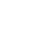 Wild Side Skull