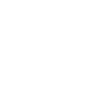 Wild Side Skull