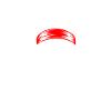 Wild Side Skull