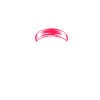 Wild Side Skull