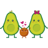 Avocado Family
