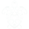 Tribal Turtle Spiral