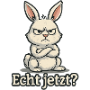 Really now rabbit
