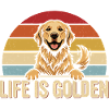 VIBRATIONS GOLDEN RETRIEVER Motif rétro