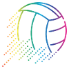 Volleyball Ball
