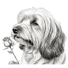 Schwarzweiß Hund mit Rose