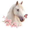 Cheval avec papillon