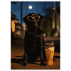 Night Poodle with Sunglasses
