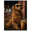 Dog with sunglasses in night light