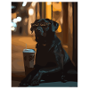 Night lounge dog with sunglasses
