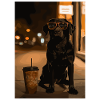 Nocturnal dog with sunglasses